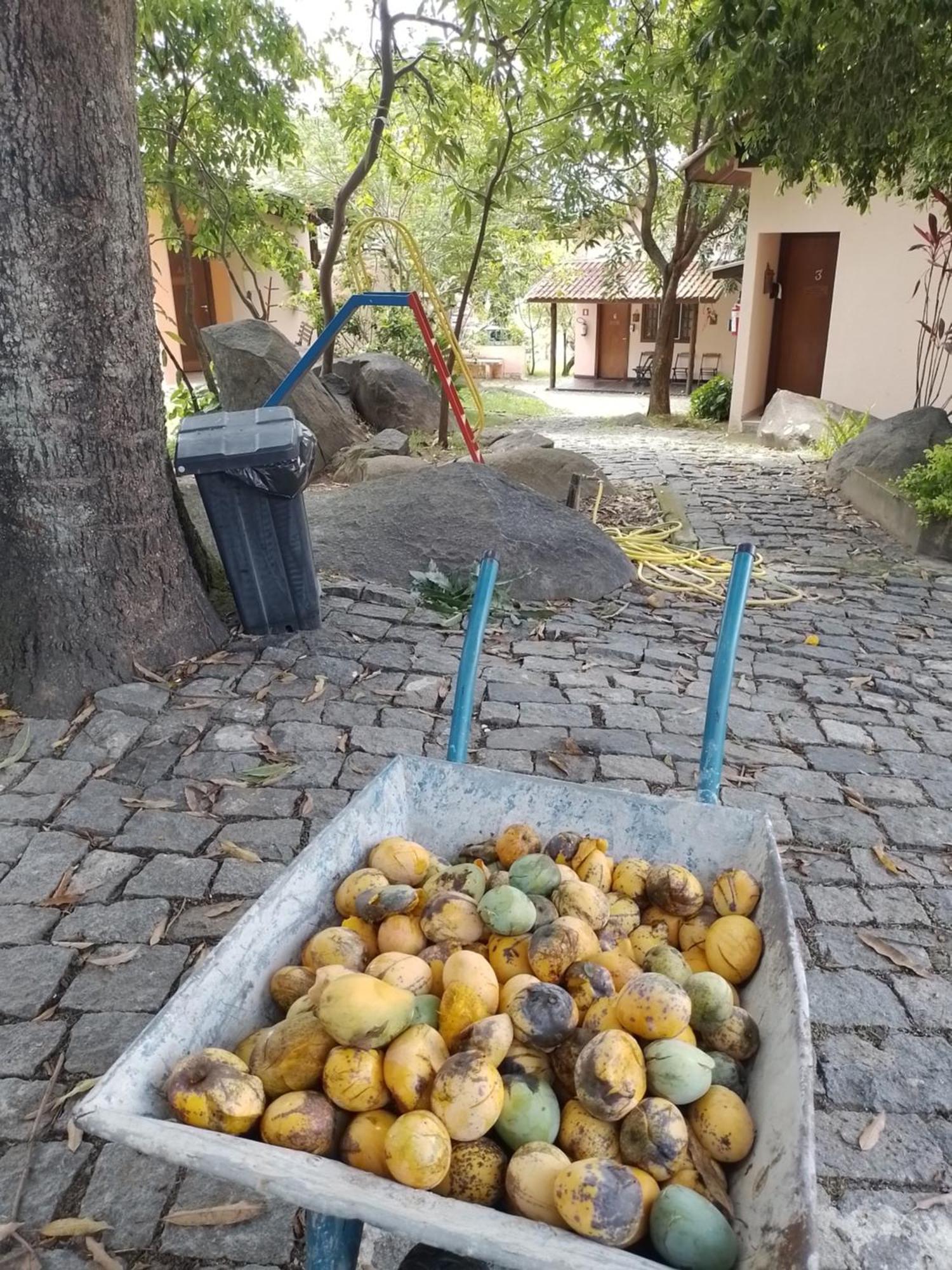 Pousada Recanto Passarela 阿帕雷西达 外观 照片